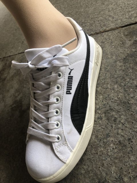 最爱帆布鞋 - 全套63期[52.5G]-孔雀海|珍藏合集