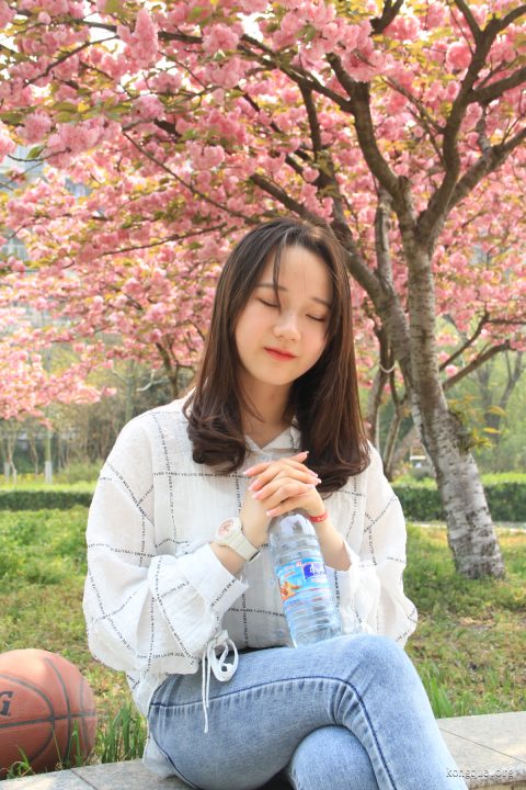 自由摄影 - 全套185期合集[28.2G-2024.1发布]-孔雀海|珍藏合集