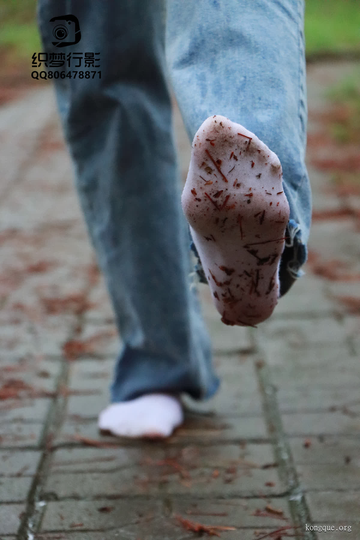 [织梦映像]NO.004_魔法森林-细雨随风燕泥香_0098